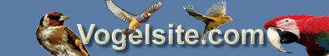 VogelSite logo